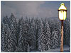 Sermon Illustration Video Preview for: Narnia - Loop 2