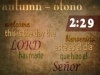 Autumn Countdown - Bilingual