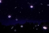 Star of Bethlehem Christmas Bundle