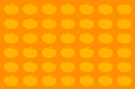 Fall Festival Motion Background | Hyper Pixels Media
