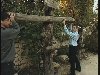 Sermon Illustration Video Preview for: Crucifixion described
