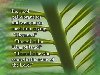 Sermon Illustration Video Preview for: Hosanna Palms with Scripture