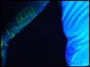 The Blacklight