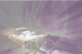 Cradle of the Light