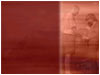 Sermon Illustration Video Preview for: Announcements: Couples