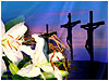 Sermon Illustration Video Preview for: Oh Wondrous Cross