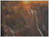 Sermon Illustration Video Preview for: Hands in Worship Background Loop