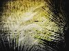 Sermon Illustration Video Preview for: What will you do with Jesus?