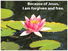 Sermon Illustration Video Preview for: Because of Jesus