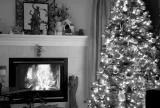 CHRISTMAS TREE WITH FIREPLACE LOOP