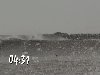 Sermon Illustration Video Preview for: Surf's Up (South Padre Hurricane Ike Edition)