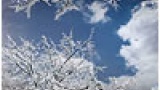 Cloud Loop Bundle