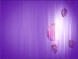 Purple Petals