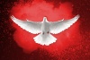 HOLY SPIRIT