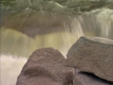 Motion River