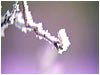Sermon Illustration Video Preview for: Interlude: Psalm 55:1-2