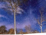 Spring Snowfall