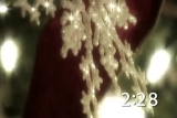 Christmas Tree Countdown