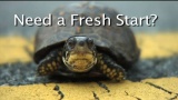 Fresh Start