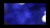 Organic Videos Christmas Collection 2