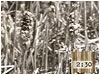 Countdown#6:Nesting Bird-Nature Sounds