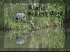 Sermon Illustration Video Preview for: Fathers Day Welcome L25-Span Guitar