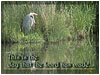 Heron L21 Welcome-Spanish Guitar