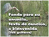Fondo: Garza (con guitarra)