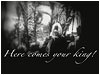 Sermon Illustration Video Preview for: From Palms to the Cross